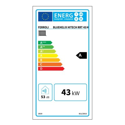Poza Centrala termica in condensare Ferroli Bluehelix HITECH RRT 45 H (EU) - 45 kW. Poza 38393