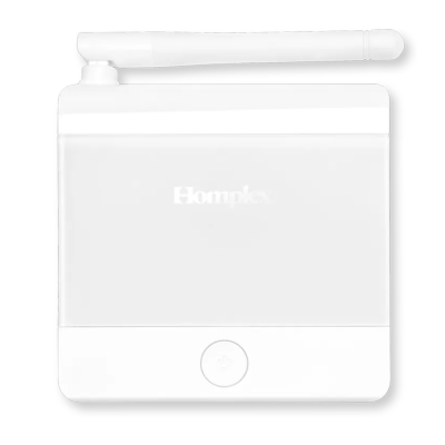Poza Termostat ambient Homplex 19 WI-FI ALB programabil, fara fir, cu control vocal Google Assistant si Alexa. Poza 41945