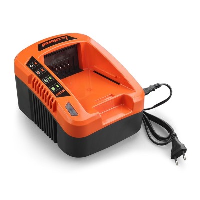 Poza Incarcator acumulatori 40V 2A Redback EC20. Poza 43045