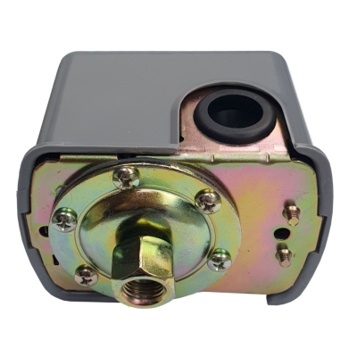 Poza Presostat mecanic Progarden, 1.4-4.6 bar, FI 1/4 inch. Poza 43486