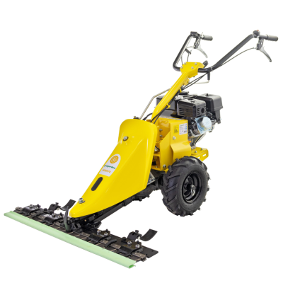 Poza Motocositoare cu bara dubla mobila 97cm ProGARDEN MSB970, 7.5CP, benzina 4T, 2 viteze. Poza 44331