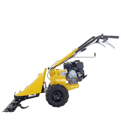 Poza Motocositoare cu bara dubla mobila 97cm ProGARDEN MSB970, 7.5CP, benzina 4T, 2 viteze. Poza 44334