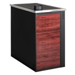 Poza Soba de gatit si incalzit Pro-Termo Panonia Rosu, cu plita si cuptor 10kW, evacuare stanga. Poza 41548